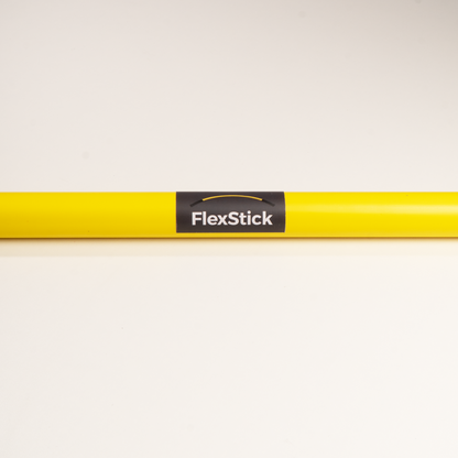 Mobility Stick